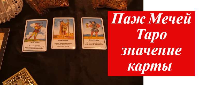 паж мечей в раскладе таро на фото
